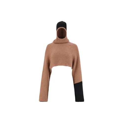 Ferragamo Коричневые Женские Свитшоты