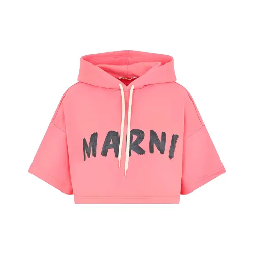 Marni Розовые Женские Свитшоты