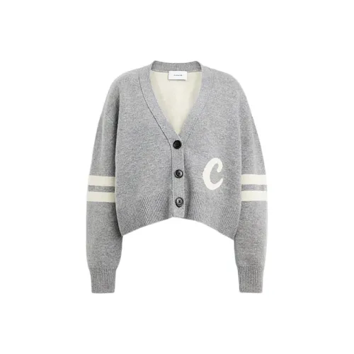 COACH SS24 Трикотаж Женский Серый