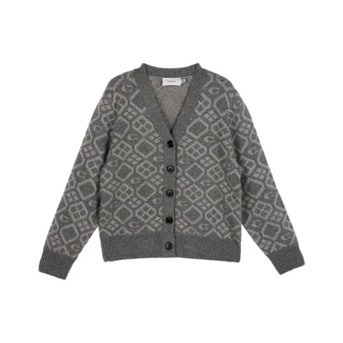 COACH SS25 Трикотаж Женский Серый