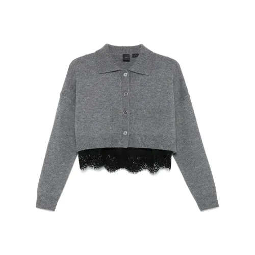 PINKO FW24 Трикотаж Женский Средний Серый