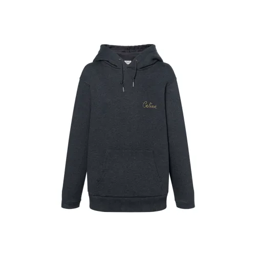 CELINE FW22 Толстовка Женская Темно-Серый