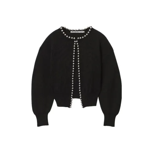 Alexander Wang Трикотаж Женский Черный