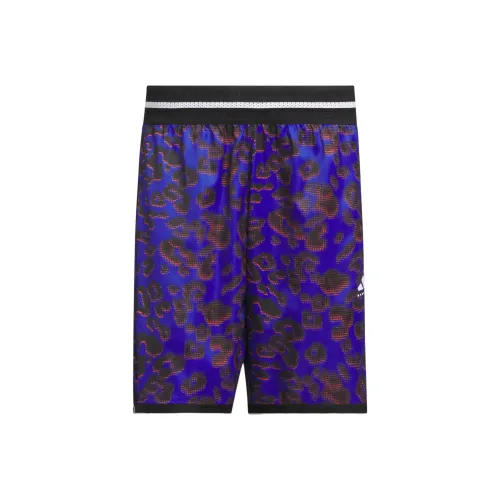 Adidas ALLOVER PRINT FW24 Баскетбольные шорты Мужские Прозрачный Синий