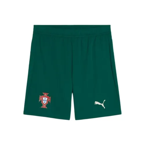 PUMA x FPF DRYCELLSHORTS Футбол Нижняя одежда Мужская Зеленая