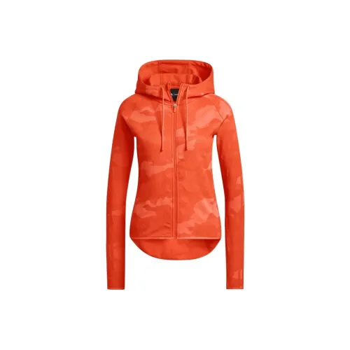 Adidas Ivy Park Апельсиновые Женские Свитшоты