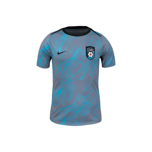 Nike NWSL Футбол Джерси Мужской Балтийский Синий Каменный Серый