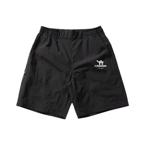 Pilot the camel Повседневные шорты Мужские