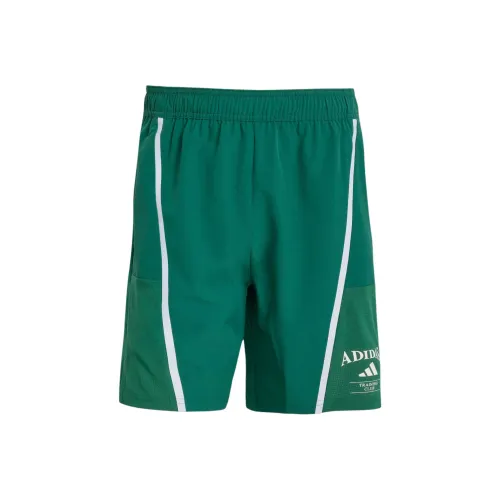 Adidas Дизайнерские для тренировок Legacy Повседневные шорты Мужские Преппи Зеленый Мел Белый