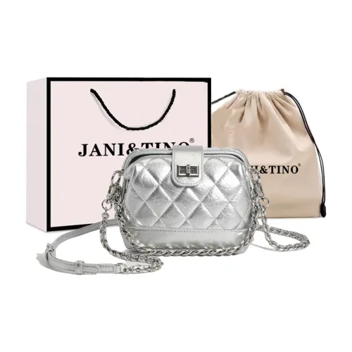 JANITINO ПУ (полиуретан) Сумка через плечо Стандартная Женская Серебряный