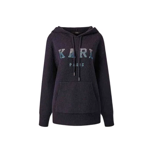 Karl Lagerfeld FW23 Толстовка Женская Черная