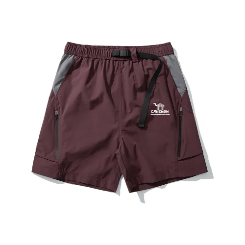 Pilot the camel Повседневные шорты Мужские