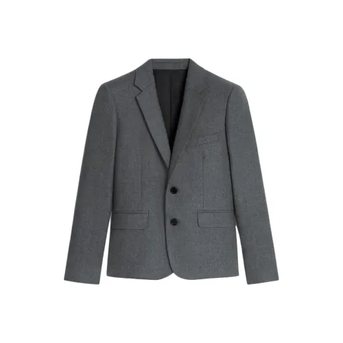 CELINE SS25 Куртки и Пальто Женские Смешанный Серый