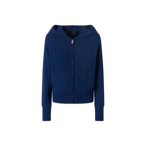 PINKO FW24 Трикотаж Женский Синий