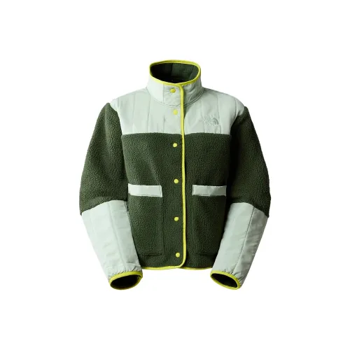 THE NORTH FACE CRAGMONT Куртка Женская Зеленая