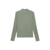 Сосновый морозный зелёный