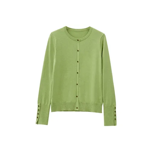 AMII Женская трикотажная одежда