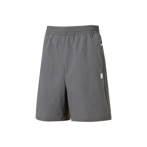 PUMA Sports Life Collection Повседневные шорты Мужские Серые