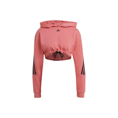 Adidas Розовые Женские Свитшоты