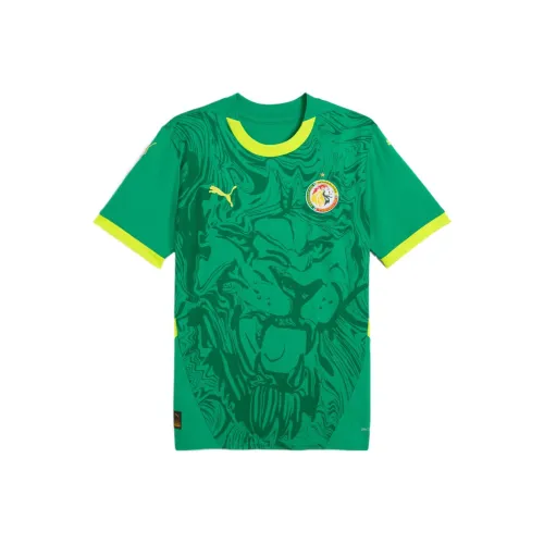 PUMA SENEGALDRYCELL Футбол Джерси Мужские Спортивные Зеленый Электрическое свечение Желтый