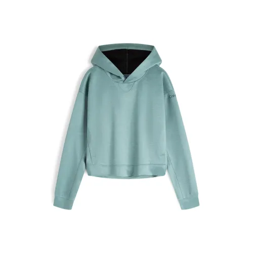 CALVIN KLEIN Свитшот Женские Flying Весенний зеленый