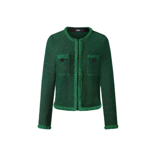 Karl Lagerfeld Трикотаж Женский Зеленый