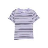 Фиолетовый Облако Полосы/Фиолетовый Серый Полосы