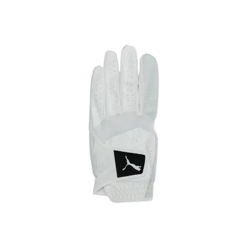 PUMA Естественная кожа, Синтетическая кожа, Полиэстер, Полиуретан Спортивные перчатки Мужские
