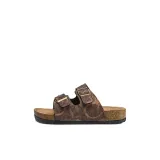 Ящерица 24925