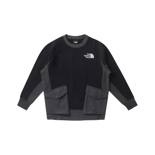 THE NORTH FACE x Urban Exploration Толстовка Женская Черная