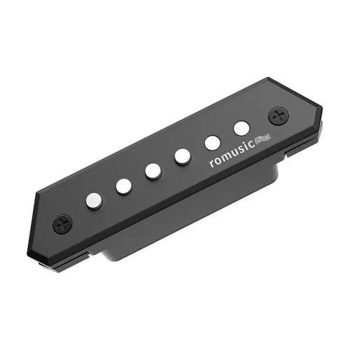 Приемник Ruomi