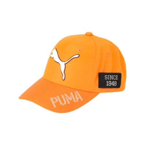 PUMA Полиэстер Кепки Мужские
