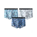 Дальний Небесный Лазурь, Светло-Синий, Светло-Серый