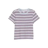 Гортензия Синий Полоса/Синие полосы