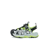 Черно-серебристый