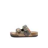 Тропический Тропический лес 24925