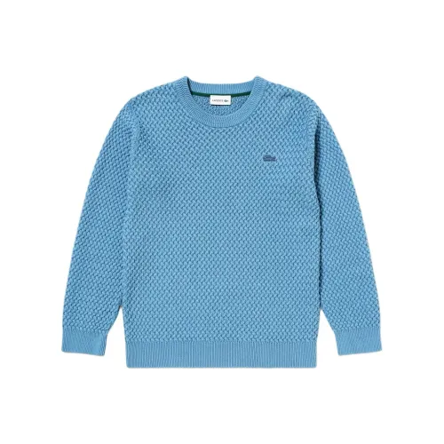 Свитеры для мужчин LACOSTE Collaboration Blue