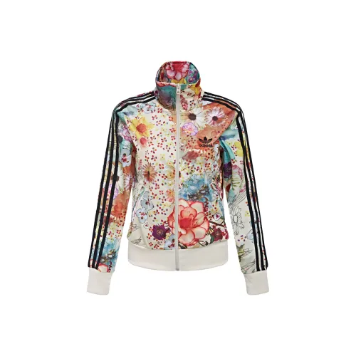 Adidas Originals Куртки и Пальто Женские Многоцветные