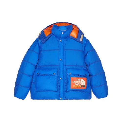 GUCCI x THE NORTH FACE Пуховик Женский Синий