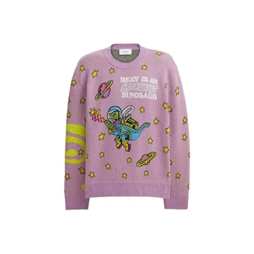 COACH Cosmic Coach Трикотаж Женский Фиолетовый