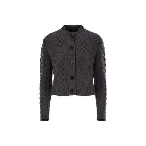 WEEKEND MaxMara Трикотаж Женский Серый