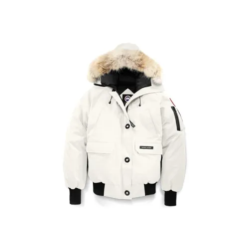Canada Goose Chilliwack Series Рассветно-белый Женские пуховики