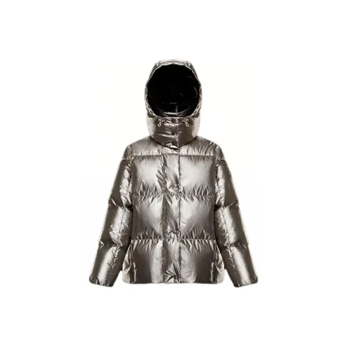 Moncler Parana Series Пуховик Женская Серебряная