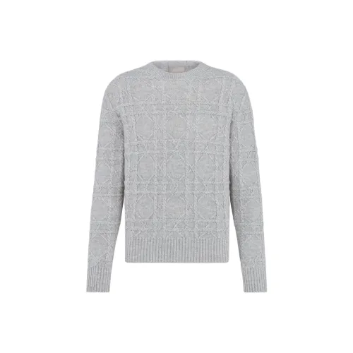 DIOR Icon Кашемировый свитер мужской серый