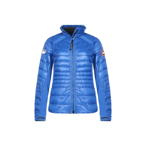 Canada Goose HyBridge SERIES Королевский синий Женские пуховики