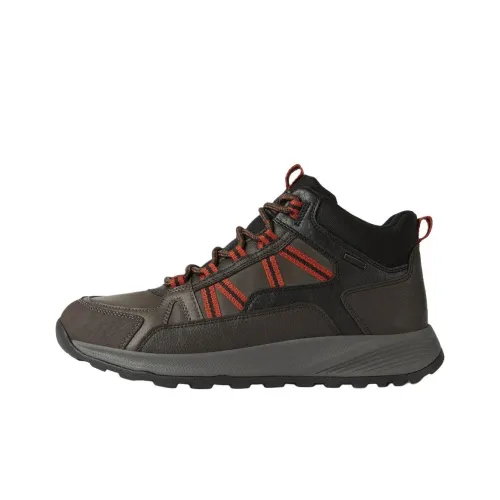 GEOX Terrestre Abx Casual MID Топ Коричневый Мужской