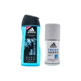 Гель для душа 250 мл + Свежий антиперспирант 50 мл