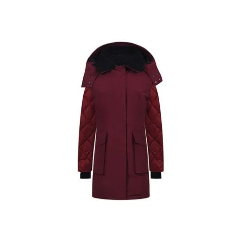 Canada Goose Elwin Series Бургундский Женские Пуховики