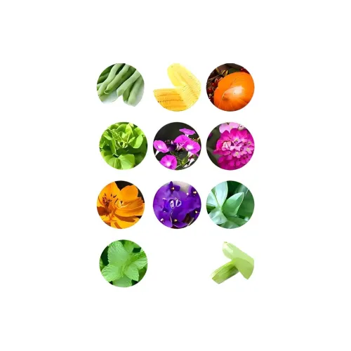 MIDEER Набор для выращивания растений на террасе GROWTH Наблюдение Wa Toy Слепые коробки Один Mystery Коробка Целая коробка 12 шт