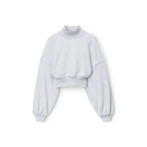 Alexander Wang SS24 Свитшот Женский Серый